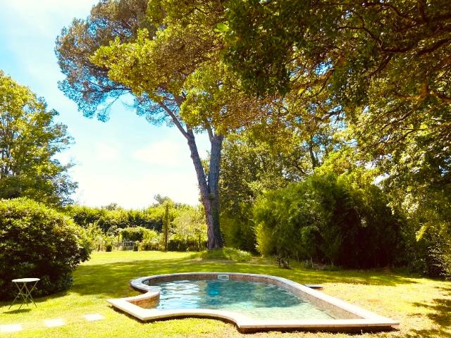 Domaine d'Exception au Coeur de la Forêt: L'Art de Vivre Landais à Lit et Mixe