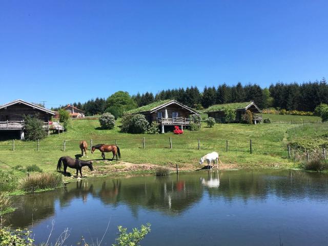 Domaine Equestre centré sur le Bien Etre équin et l'Agroéco 371m² Limoges