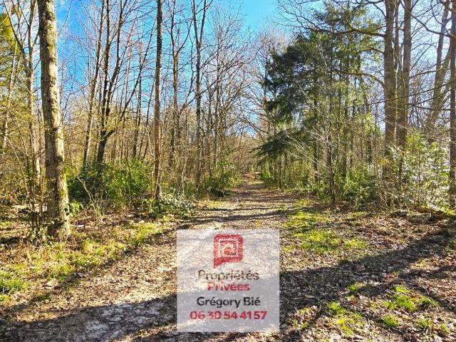 Domaine Forestier 9,6 hectares