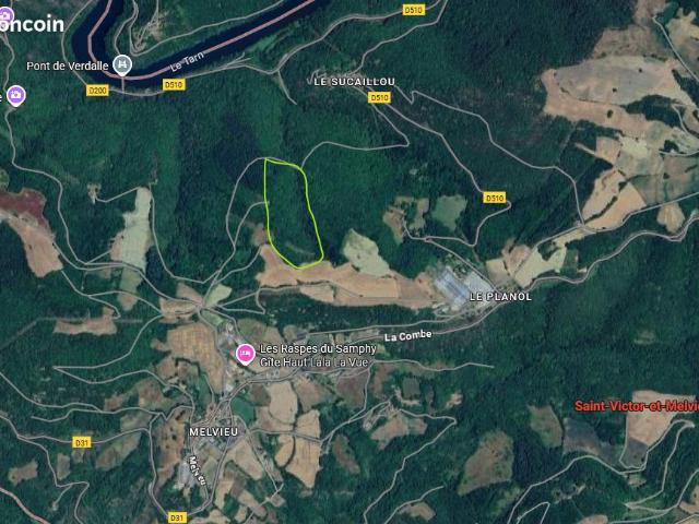 Domaine forestier de 4,3 hectares Bois de châtaigniers et chênes à Saint Victor et Melvieu