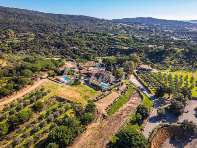 Domaine Provençal avec Exploitation d'Oliviers et Gîtes à Sa