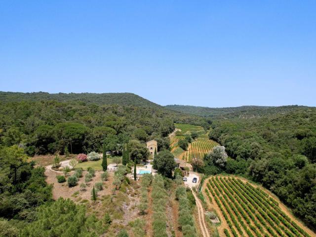 Domaine provençal avec vignoble, oliveraie et potentiel de r. 313m² Uzès
