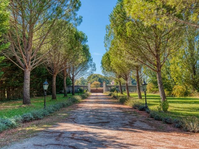 DOMAINE PROVENCAL D'EXCEPTION Orange 710m²