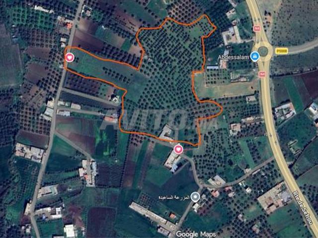 Domaine titré 7 ha – 20 min de Fès