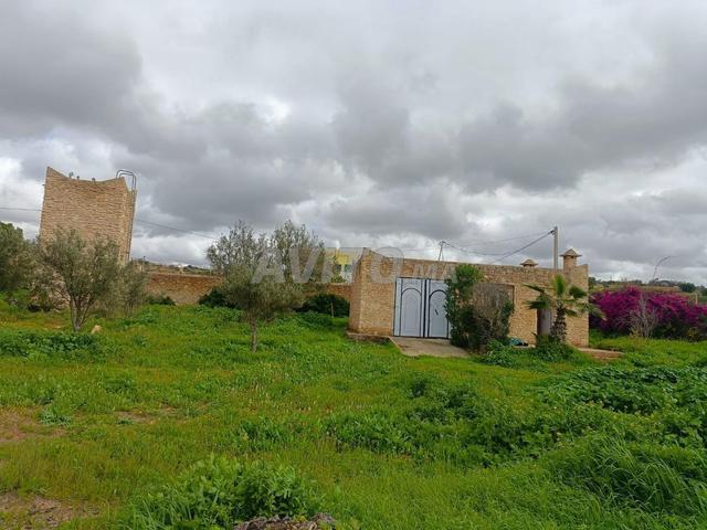 Domaine TITRÉ 8676m² Angle – Lahrarta Essaouira