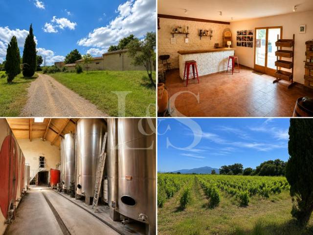 Domaine viticole à vendre à Vinsobres Cave équipée, caveau