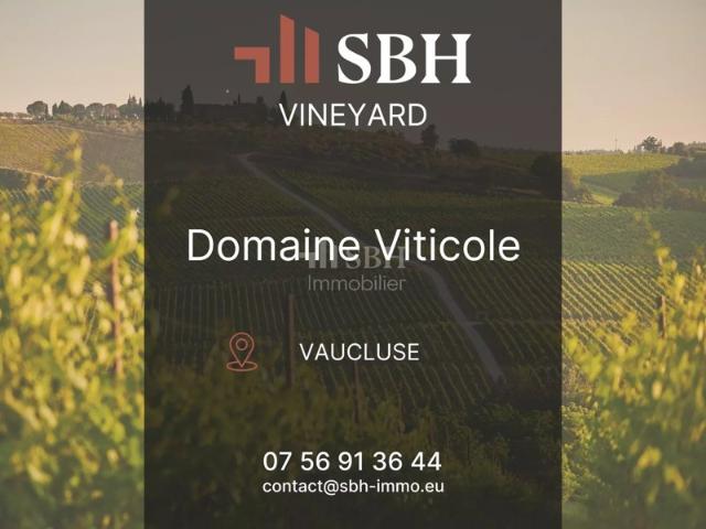 Domaine viticole à vendre – Vaucluse Outil de travail complet – Opportunité unique