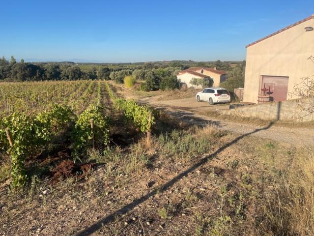 Domaine Viticole BIO