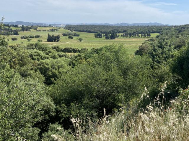 Domaine viticole confidentiel sur trois Crus de la Vallée du