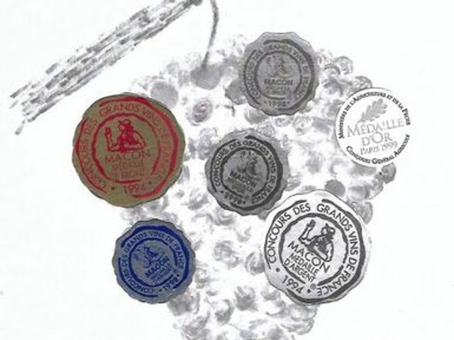 Domaine viticole