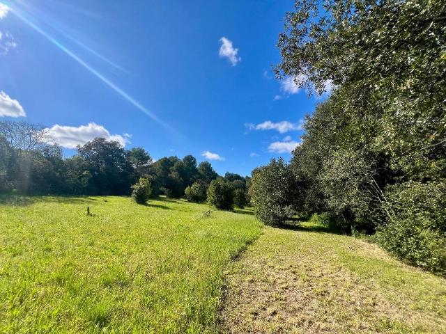 Domaine 350 m2 habitables sur 4 hectares avec 637 m2 de dépe. 354m² Roujan