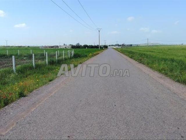 Domaines et terres agricoles titrés dans les environs d'Azemmour