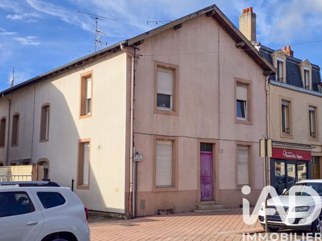 Dombasle sur Meurthe Vente Appartement 54