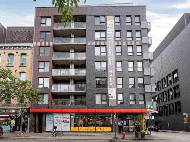 Dominik Apartments Studio Apartment for Rent at 1255 Rue Saint Dominique, Montréal, QC H2X 0E2 Quartier Ville Marie