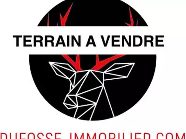 Dommartin 69380 Achat / Vente terrain