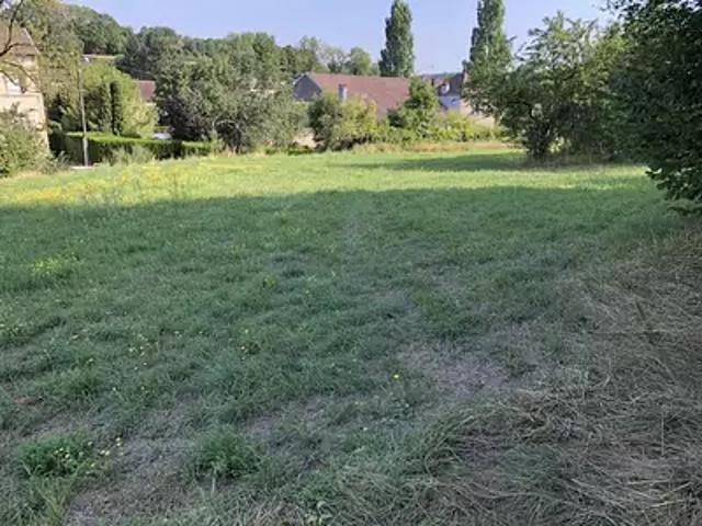 Dommartin aux Bois 88390 Achat / Vente terrain