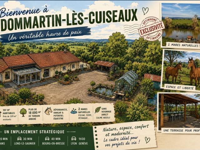 Dommartin lès Cuiseaux Vente Maison 71