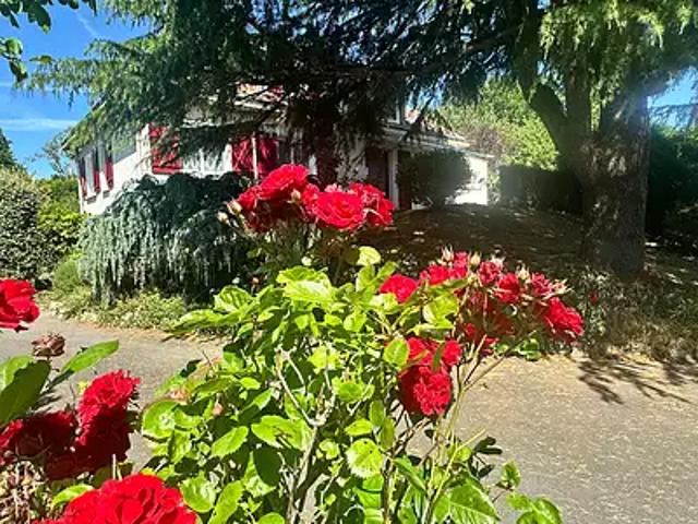 Dompierre sur Yon 85170 Achat / Vente maison 8 pièces t8 piscine