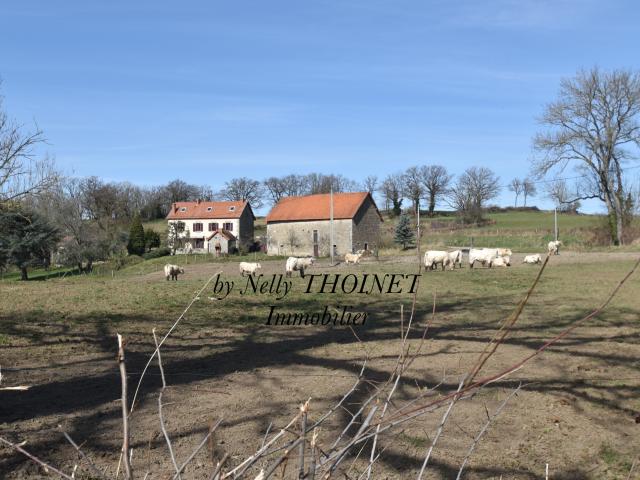 Dontreix Vente Propriété/château 23