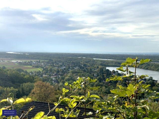 Donaublick traumhaft Einfamilienhaus mit fantastischen Ausblick über die Donauauen und in das Weinviertel!