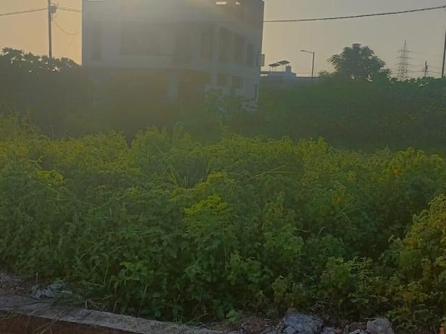 Dongarpur 1000 Sq.Ft. Plot in Dongarpur Gwalior Listing ID: #9338