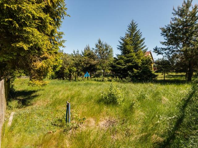 Dobrogoszcz, 480 m2