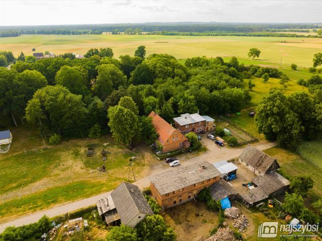 Dobrzany, Mosina, 170,41 m2