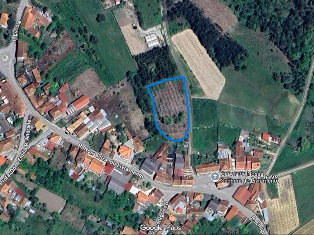 Dois artigos: Urbano com 498 m2 e terreno rústico com 1000 m2 em Vilarinho do Bairro, Anadia