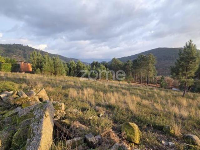 Dois Terrenos Rústicos com 2,6 Ha