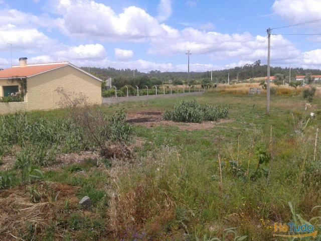 Dois Terrenos T1304/14 | 26083252786