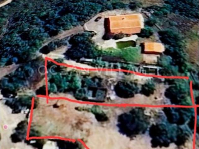 Dois Terrenos Urbanos para construção
