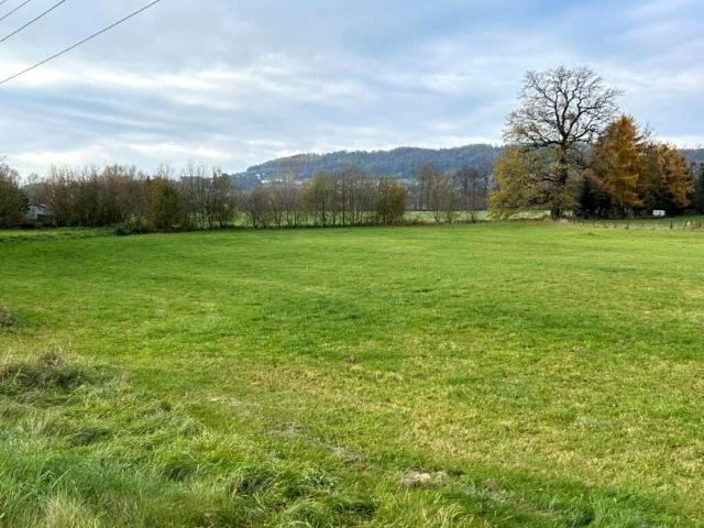 Doktora Andrzeja Cinciały 3 913 m², Kozakowice Górne