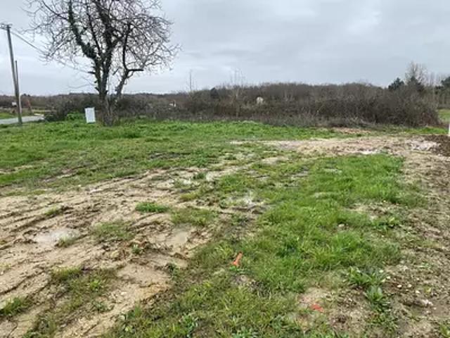 Dolus d'Oléron 17550 Achat / Vente terrain