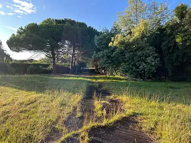 Dolus d'Oléron 17550 Achat / Vente terrain