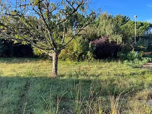 Dolus d'Oléron 17550 Achat / Vente terrain