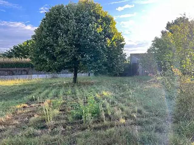 Dolus d'Oléron 17550 Achat / Vente terrain