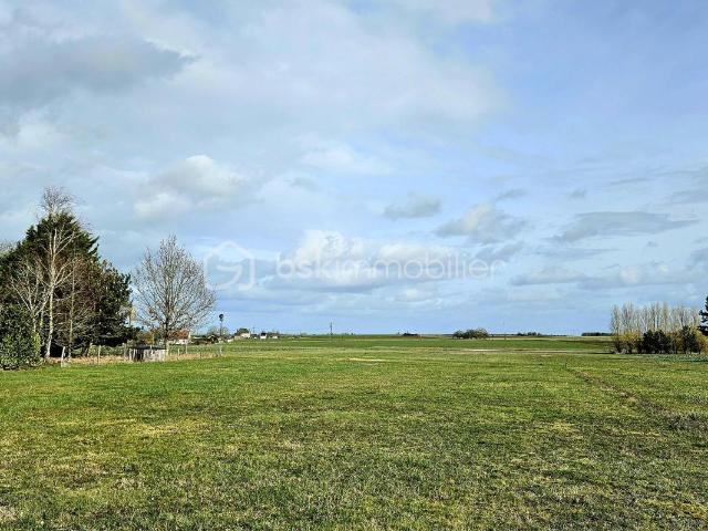 Dolus le Sec Vente Terrain 37