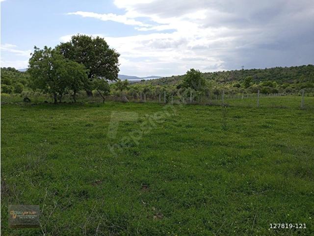 DOLUYUTLAR EMLAKTAN BİR FRSAT DAHA DİKİL KIZILÇUKUR MHL YOLU OLAN KUPON ARAZİ 5.278 M2