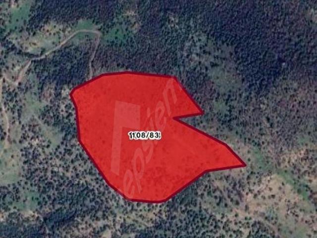 DOLUYURTLAR EMLAKTAN DİKİLİ BHÇELİ MHL SATLIK ARAZİ 71.786 M2