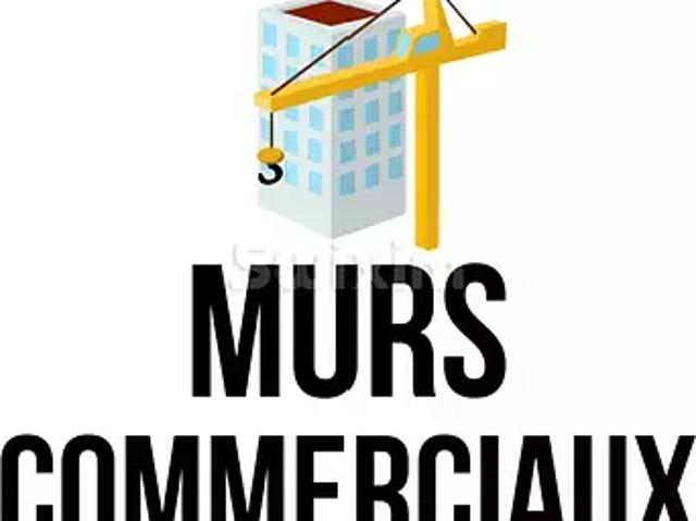 Dole 39100 Achat / Vente immeuble