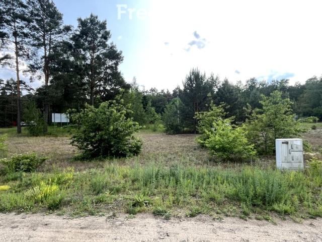 Dolna 997 m², Czarne Błoto