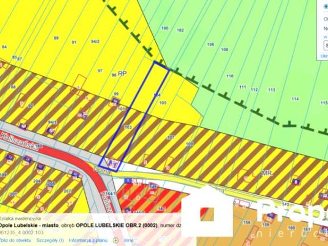 Dolna 1 396 m², Opole Lubelskie
