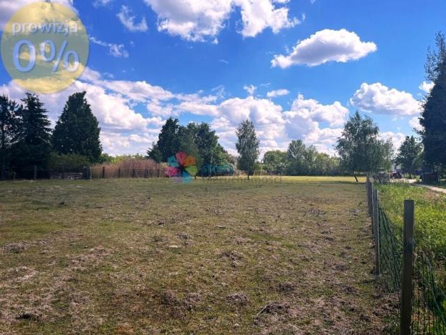 Dolna 1 332 m², Krupia Wólka