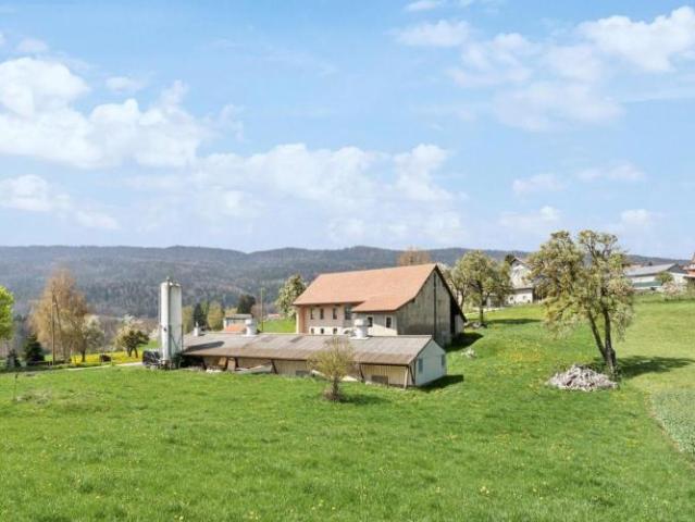 Bauernhaus 7 Zimmer