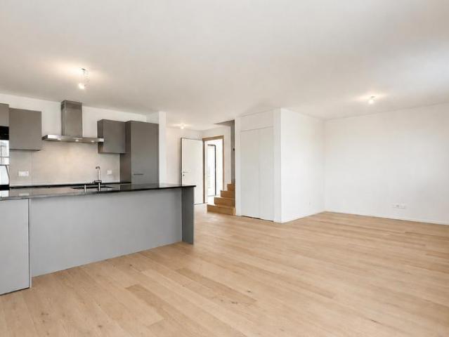 Doppeleinfamilienhaus 4.5 Zimmer