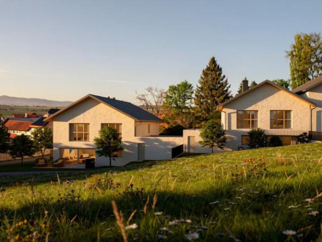 Doppeleinfamilienhaus 5.5 Zimmer