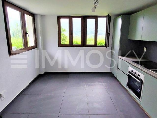 Doppeleinfamilienhaus 5.5 Zimmer