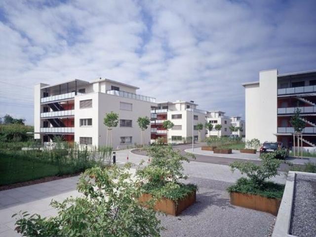 Doppeleinstellhallenplatz im Nippel zu vermieten!