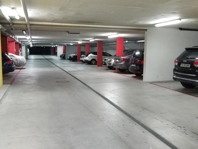 Doppeleinstellplatz am Uetliberg zu vermieten