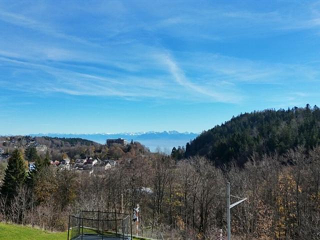 Doppelhaus 5,5 Zimmer mit Blick auf die Alpen Grundstück 3